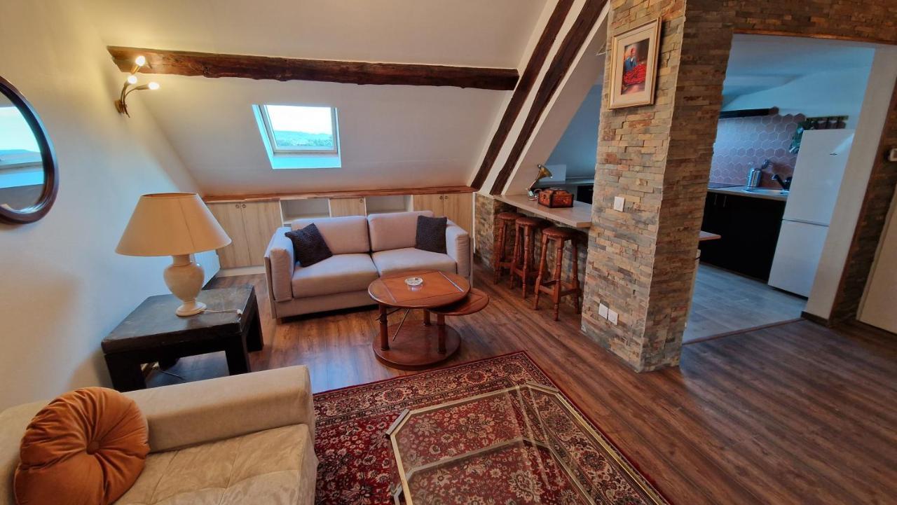Apartmán La Cigogne Château-Thierry Exteriér fotografie